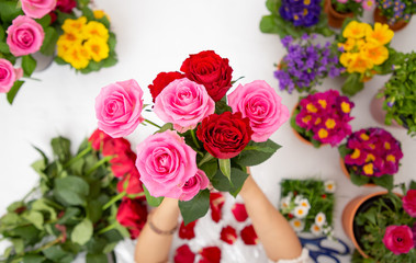Woman Preparing to trim red and pink roses and beautiful flower arrangements in the home, flower arrangements with vase for gift-giving for Valentine's Day and Business in the family on the on table