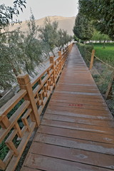 Fenced wooden walkway-Crescent Moon Lake or Yueyaquan-Mingyue temple. Dunhuang-Gansu-China-0678