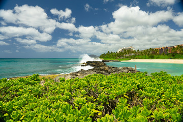 Rocky Shoreline of Ko Olina resort on the island of Oahu in Hawaii crashing waves palm trees a tropical paradise