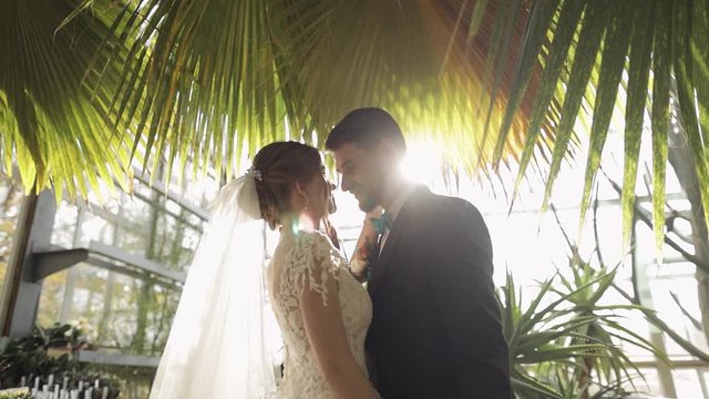 Newlyweds. Caucasian groom with bride in the park. Wedding couple. Happy family