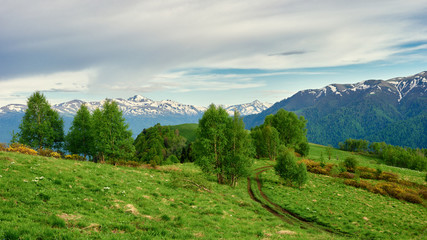 Naklejka na ściany i meble Panoramic view of gorgeous mountain ridge with high rocky peaks with fresh green meadows in bloom on in springtime. Adygea, Russia