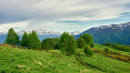 Foto op Canvas Panoramic view of gorgeous mountain ridge with high rocky peaks with fresh green meadows in bloom on in springtime. Adygea, Russia © ASHarchenko