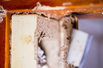 Termites destroy wooden doors in the kitchen and the location of termite hunters.