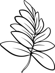 a hand-drawn branch of leaves on a white background in the style of a Doodle. Vector illustration