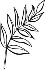 a hand-drawn branch of leaves on a white background in the style of a Doodle. Vector illustration