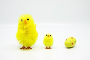Cute little Easter chicks standing in a row with an Easter egg