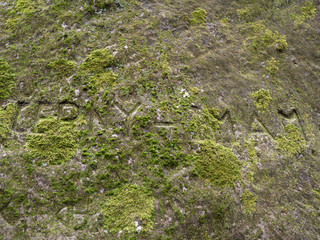 Curved text hidden in moss growing on sandstone