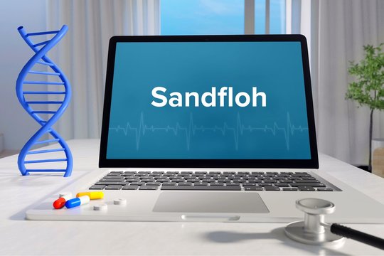 Sandfloh &ndash; Medizin, Gesundheit. Computer im Büro mit Begriff auf dem Bildschirm. Arzt, Krankheit, Gesundheitswesen