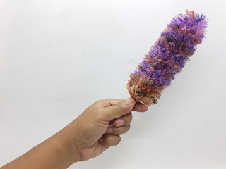 Colorful Fluffy Cute Feather Duster Synthetic Fabric Materials for Home Interior Cleaning Tools in White Isolated Background