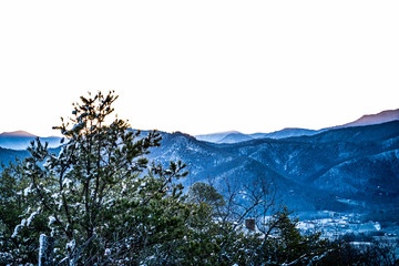 PANORAMIC MOUNTAIN VIEW WITH TREES
