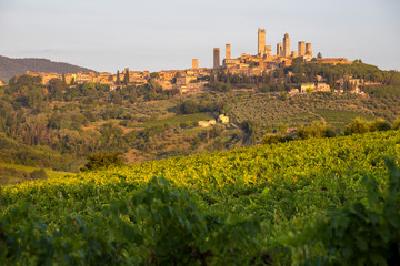 medieval town of San Gimignano from vineyards, Tuscany, Italy.