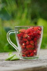 A glass of garden strawberries on the bench.  Summer time. 