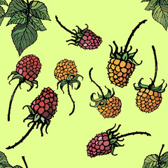 seamless background of hand-drawn and colored raspberries and leaves, isolated on a white and colored background for the design of postcards, packages, fabrics