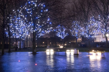 Fototapeta na wymiar light on trees, london by night before christmas