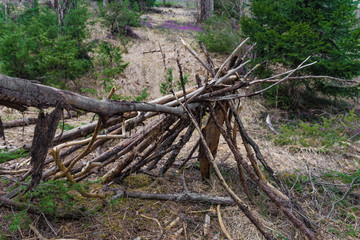 Wigwam aus Holz