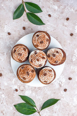 Coffee cupcakes decorated with whipped cream and coffee beans.