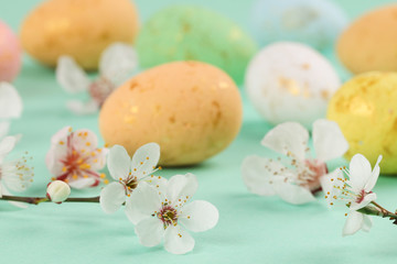 Multi-colored eggs and flowering cherry twigs. Easter.
