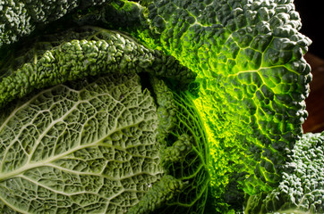Ripe Fresh Green Savoy cabbage isolated on white.