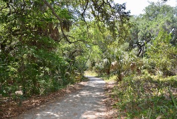 Florida sanctuary