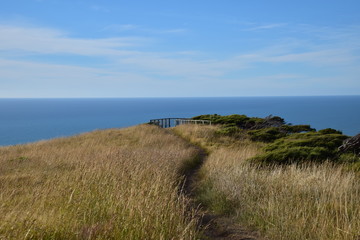 Fototapeta na wymiar pathway to the coast viewpoint in Raglan, New Zealand