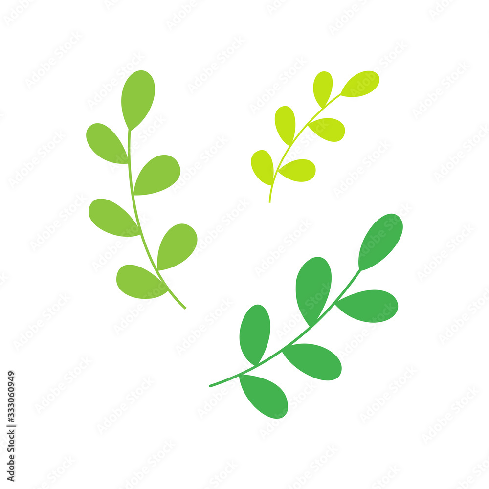 Poster Cute green branches isolated on white background