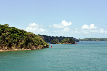 Green landscape of Panama Canal, view from the transiting cargo ship.