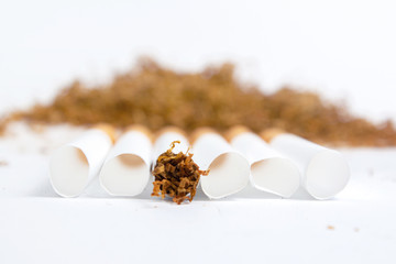 cigarette around cigarette liners in the background a handful of tobacco on a white background....