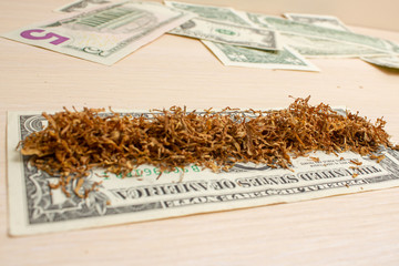 dollar with tobacco in the background five dollars on a light tree