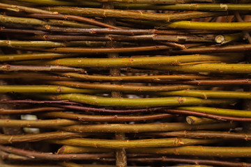 background of beautiful green and red braided branches close up