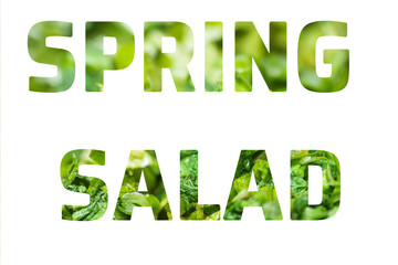 Text Spring Salad on white background. Cut letters from green salad. concept of healthy eating. Diet.