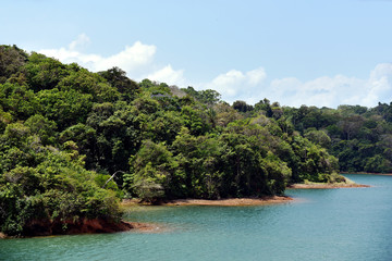 Green landscape of Panama Canal, view from the transiting cargo ship.