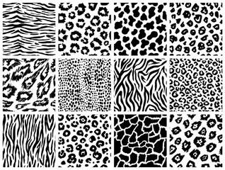 Fototapeta premium Animal seamless pattern set. Mammals Fur. Collection of print skins. Predators Camouflage. Cheetah Giraffe Zebra Leopard Holstein cattle Snake Jaguar. Printable Background. Vector illustration.
