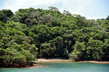 Green landscape of Panama Canal, view from the transiting cargo ship.