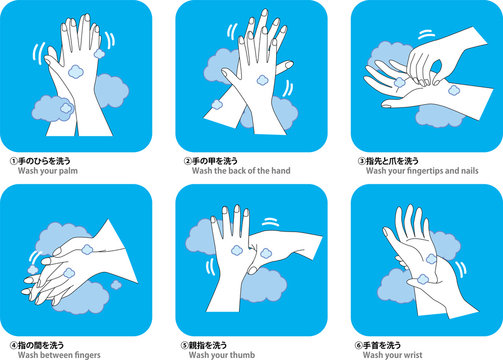 手洗い：手洗い　手順　表　説明　手　手を洗う　衛生　エチケット　ウィルス　ばい菌　感染予防　感染対策