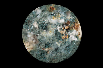 Abstract pandemic model. Infected planet. Rapid spread of coronavirus COVID-19. Copy space