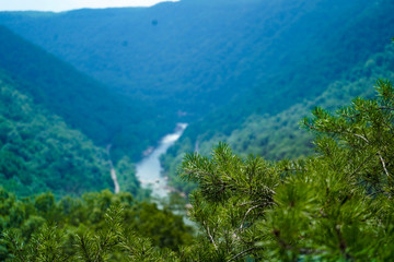 Overlook of Pinetree Valley with River