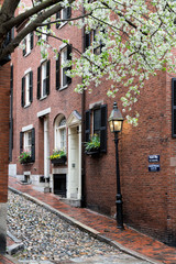 A Spring Afternoon on Beacon Hill, Boston