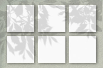 6 square sheets of white textured paper against a gray-green wall. Mockup overlay with the plant shadows. Natural light casts shadows from the tree's foliage. Flat lay, top view