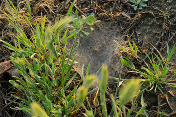 Riverside Early Sunrise 