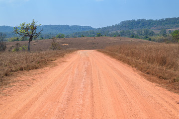 Obraz premium View of dirt road in countryside with blue sky