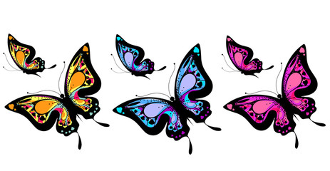 Obraz na płótnie Canvas butterfly481