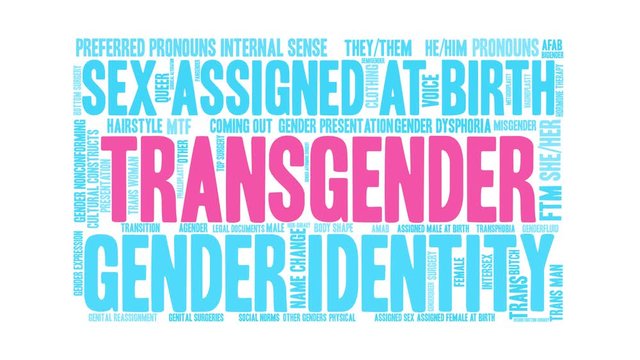 Transgender animated word cloud on a white background. 