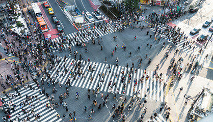 Shibuya crossing