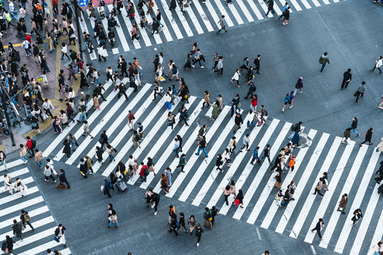 Shibuya Crossing