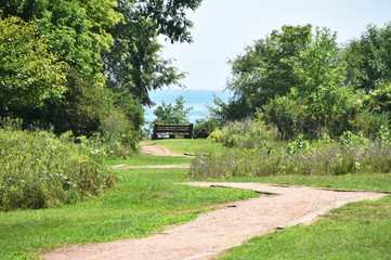 Lake through the Trees