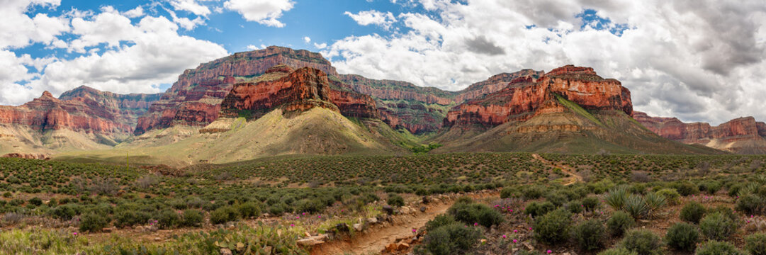 Discover the Best Group Camping Sites in Arizona's National Parks