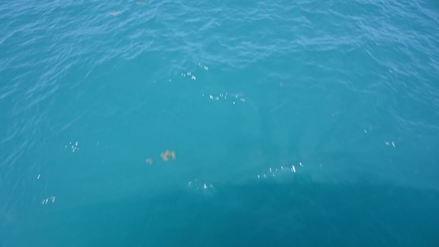 Zooming Over Blue Waters in Tropics of Florida