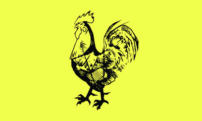 vector illustration of rooster 