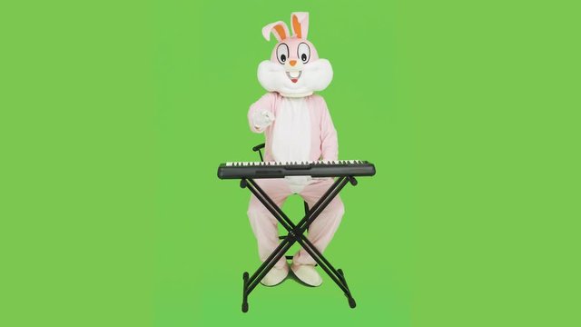 Funny piano teacher pianist plays music, celebrate easter, have fun. Adult Easter bunny life-size suit playing electric digital piano on chroma key, green screen
