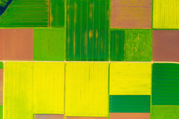 Aerial view of farmlands in spring: Green, red and yellow fields 